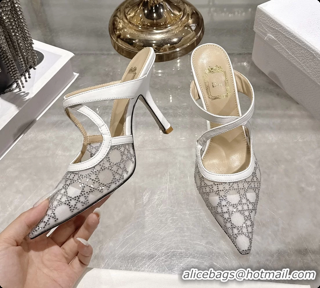 Purchase Dior Capture Pumps White Transparent Mesh with Silver Tone 95MM 6070210