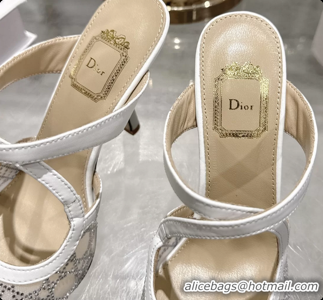 Purchase Dior Capture Pumps White Transparent Mesh with Silver Tone 95MM 6070210