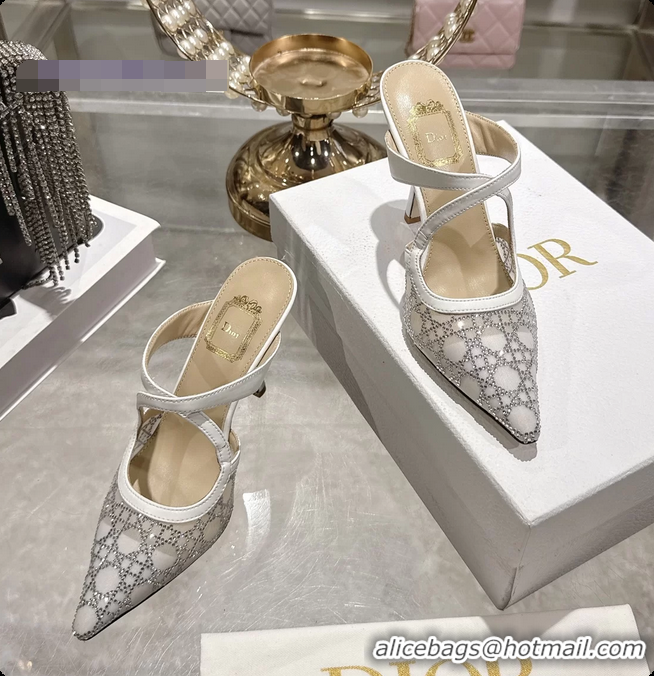 Purchase Dior Capture Pumps White Transparent Mesh with Silver Tone 95MM 6070210