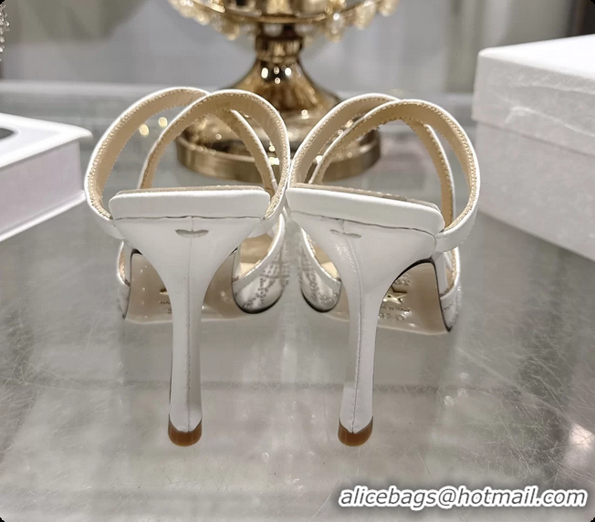 Purchase Dior Capture Pumps White Transparent Mesh with Silver Tone 95MM 6070210