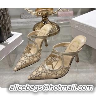 Good Looking Dior Capture Pumps Gold Transparent Mesh with Silver Tone 95MM 6070210
