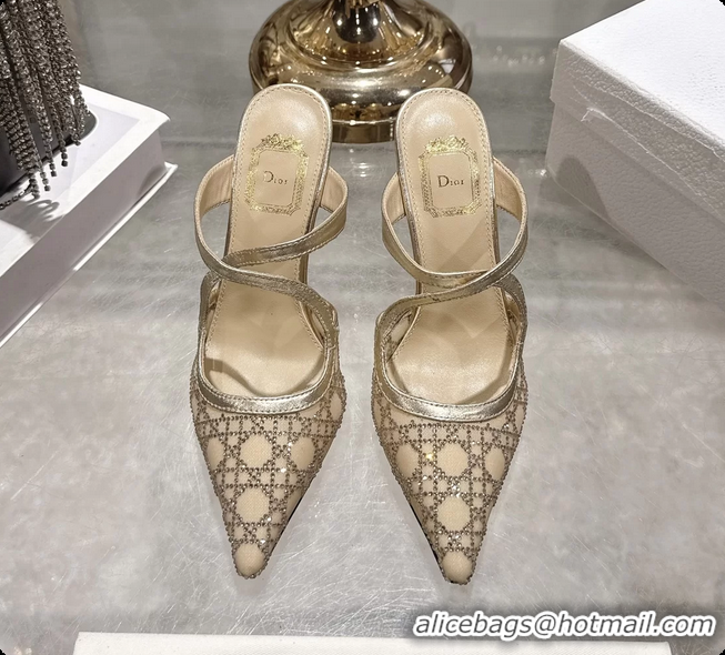 Good Looking Dior Capture Pumps Gold Transparent Mesh with Silver Tone 95MM 6070210