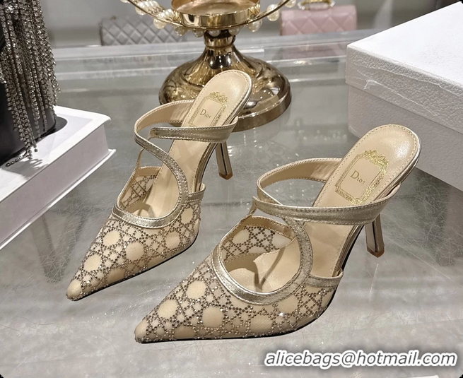 Good Looking Dior Capture Pumps Gold Transparent Mesh with Silver Tone 95MM 6070210