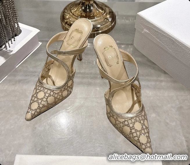 Good Looking Dior Capture Pumps Gold Transparent Mesh with Silver Tone 95MM 6070210