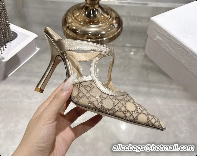 Good Looking Dior Capture Pumps Gold Transparent Mesh with Silver Tone 95MM 6070210