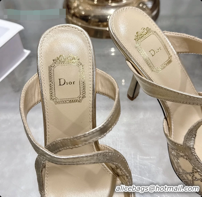 Good Looking Dior Capture Pumps Gold Transparent Mesh with Silver Tone 95MM 6070210