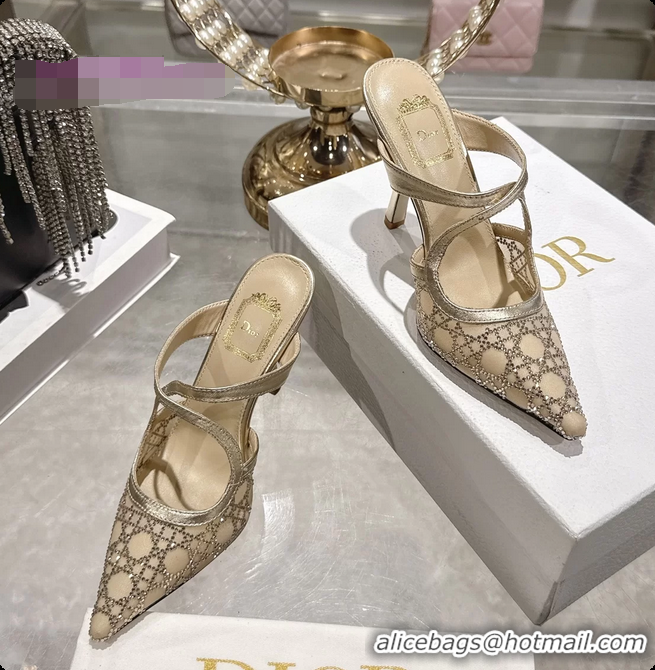 Good Looking Dior Capture Pumps Gold Transparent Mesh with Silver Tone 95MM 6070210