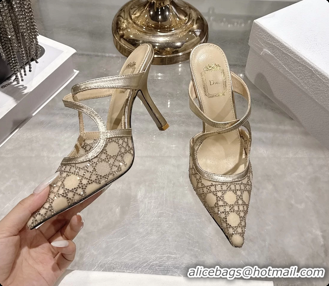 Good Looking Dior Capture Pumps Gold Transparent Mesh with Silver Tone 95MM 6070210