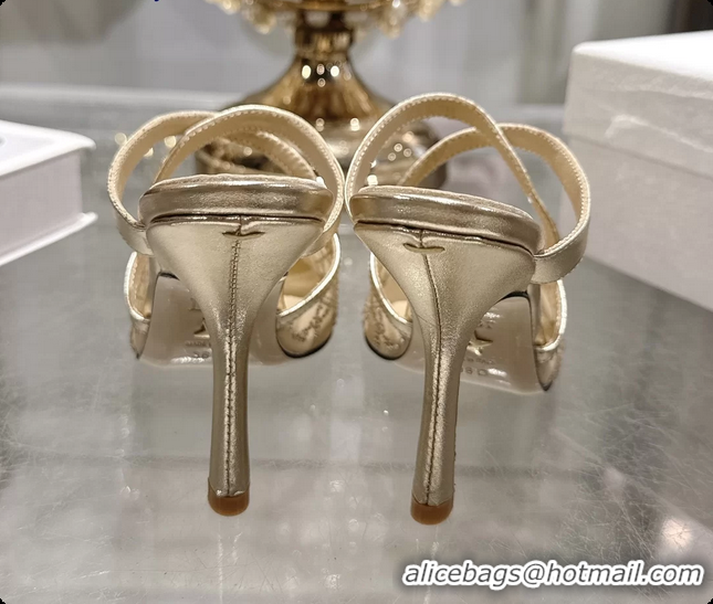 Good Looking Dior Capture Pumps Gold Transparent Mesh with Silver Tone 95MM 6070210