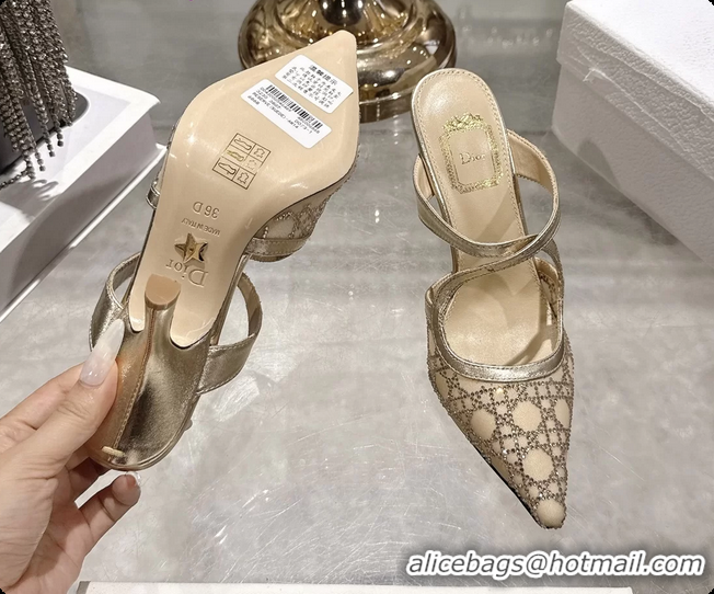 Good Looking Dior Capture Pumps Gold Transparent Mesh with Silver Tone 95MM 6070210