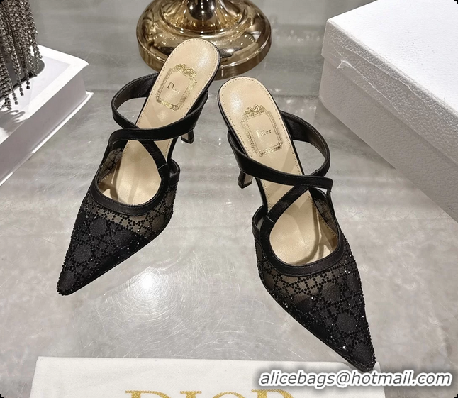 Low Cost Dior Capture Pumps Black Transparent Mesh with Silver Tone 95MM 6070210