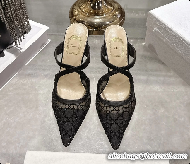 Low Cost Dior Capture Pumps Black Transparent Mesh with Silver Tone 95MM 6070210