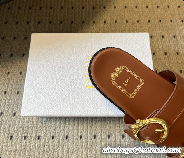 Top Grade Dior Medaillon Buckle Flat Slides Sandals Brown Calfskin Leather 6070211