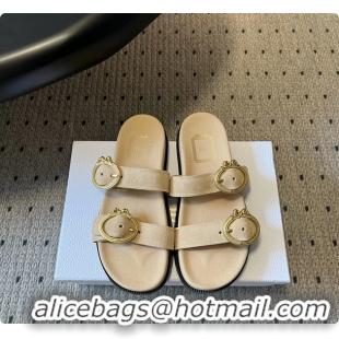 Fashion Dior Medaillon Buckle Flat Slides Sandals Beige Suede Calfskin Leather 6070211