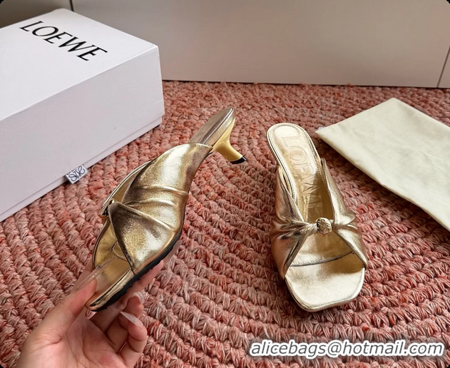 Best Product Loewe Pebble Soft Slide Sandals Gold laminated Lambskin Leather 6070316