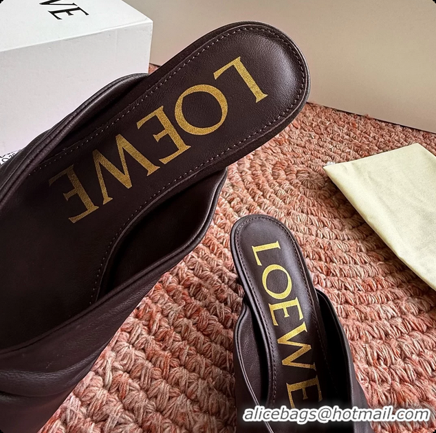 Charming Loewe Pebble Soft Slide Sandals Burgundy laminated Lambskin Leather 6070316