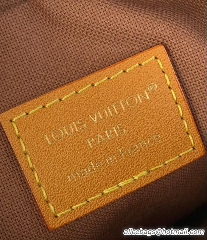 Luxury Cheap Louis Vuitton Danube Cow Leather Crossbody Bag M14103