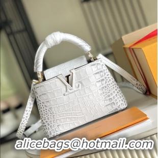 Market Sells Louis Vuitton Capucines Original Alligator Leather Mini Handbag N98156 2026