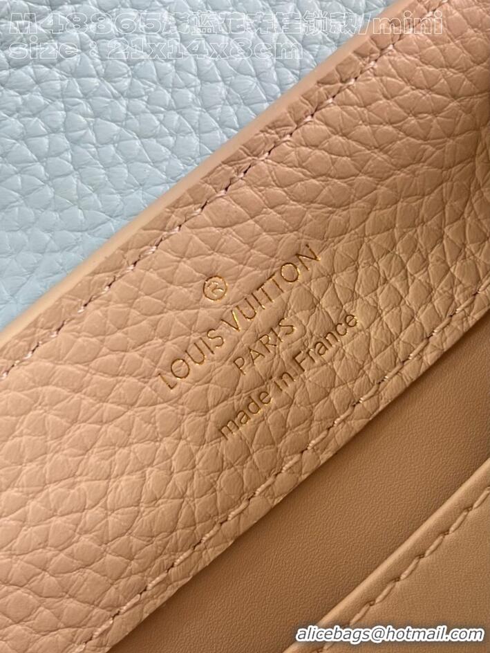 Buy Discount Louis Vuitton Capucines Multisize In Grained Leather M48865 2026