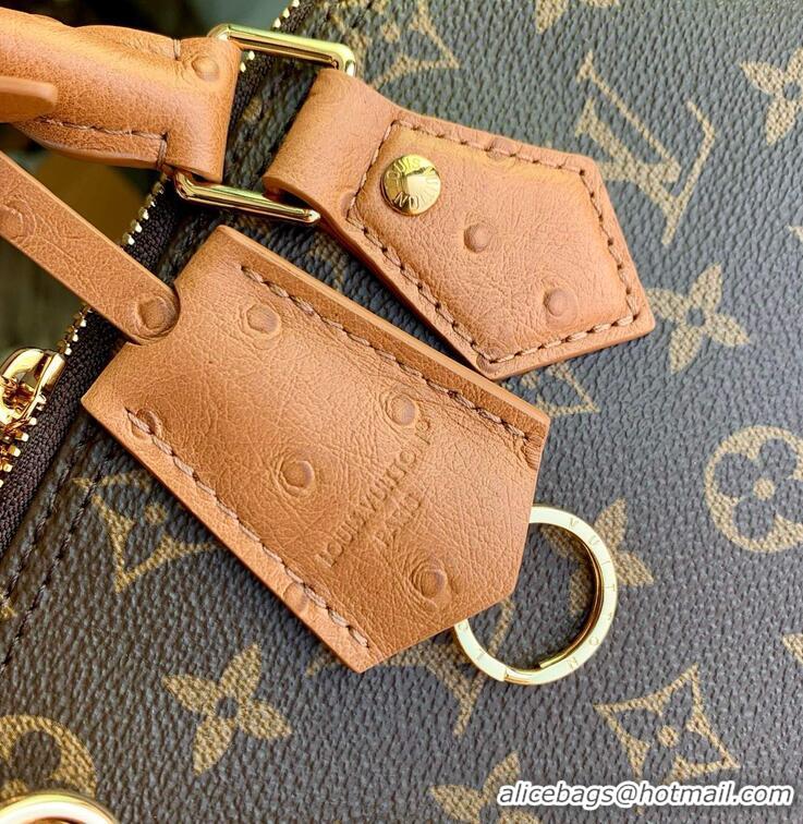 Top Quality Louis Vuitton Monogram Canvas Alma MM Soft Celebration Handbag N30049