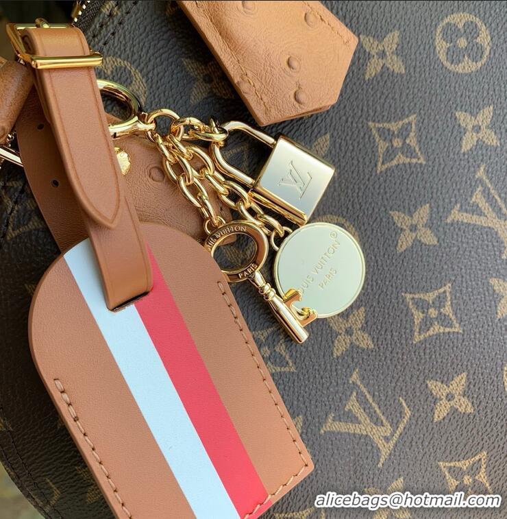 Top Quality Louis Vuitton Monogram Canvas Alma MM Soft Celebration Handbag N30049