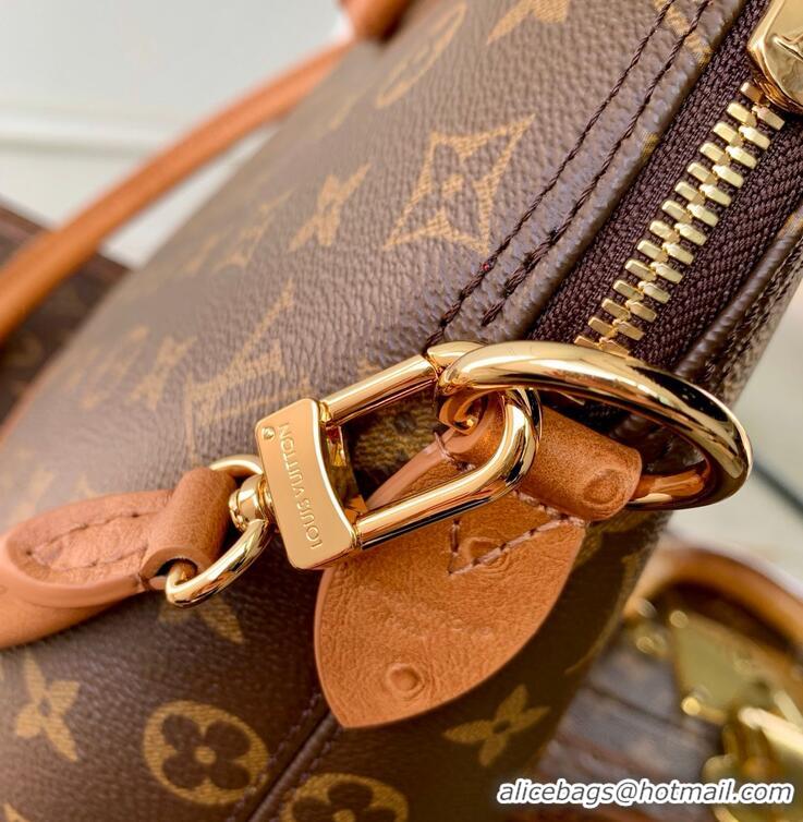 Top Quality Louis Vuitton Monogram Canvas Alma MM Soft Celebration Handbag N30049