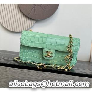 New Design Chanel Metiers D'Art Flap Bag & Gold-Tone Metal AS5313 Green Croc Embossed 2026
