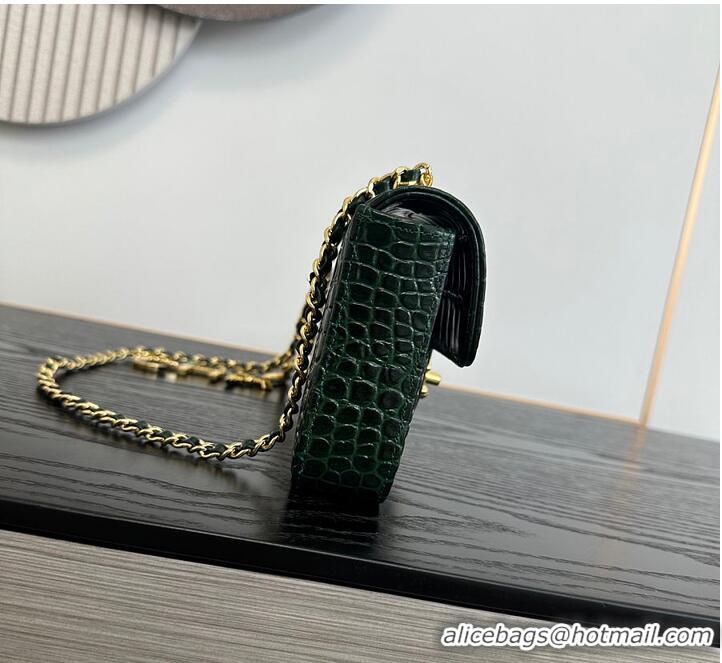 Top Design Chanel Metiers D'Art Flap Bag & Gold-Tone Metal AS5313 Dark Green Croc Embossed 2026