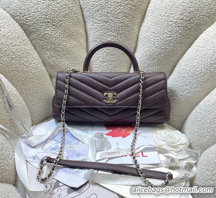 Famous Brand Chanel Maxi Flap Bag with Top Handle Goatskin & Gold-Tone Metal AS5325 Dark Brown 2026