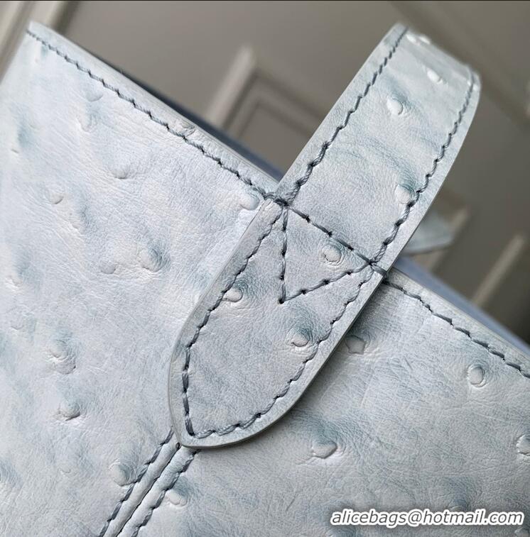 Top Grade Louis Vuitton Ostrich Leather All In BB Aged Bucket Bag M12925 Light Blue