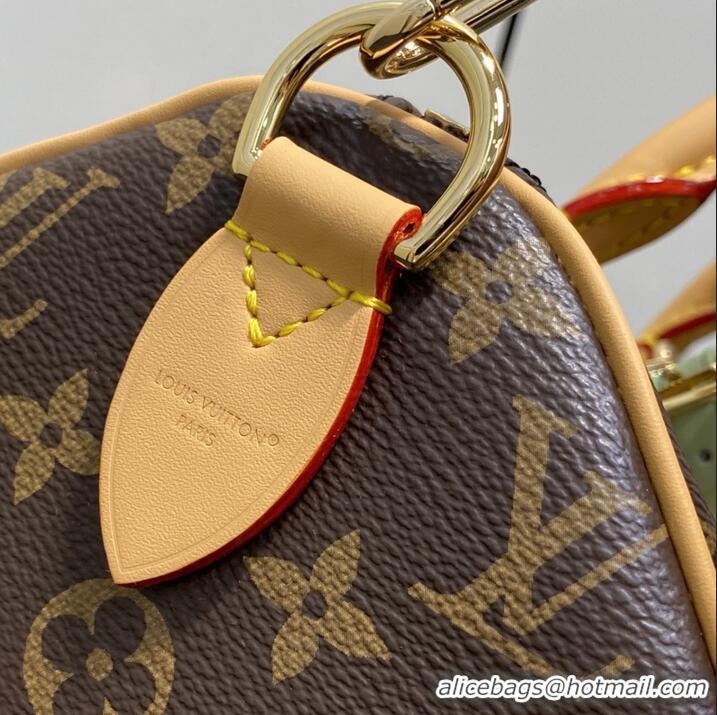 Most Popular Louis Vuitton Monogram Canvas Speedy Soft 30 Lucky Pillow bag M15107