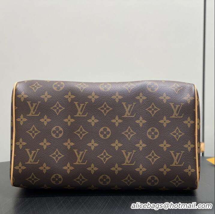 Most Popular Louis Vuitton Monogram Canvas Speedy Soft 30 Lucky Pillow bag M15107