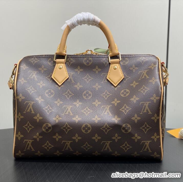 Most Popular Louis Vuitton Monogram Canvas Speedy Soft 30 Lucky Pillow bag M15107