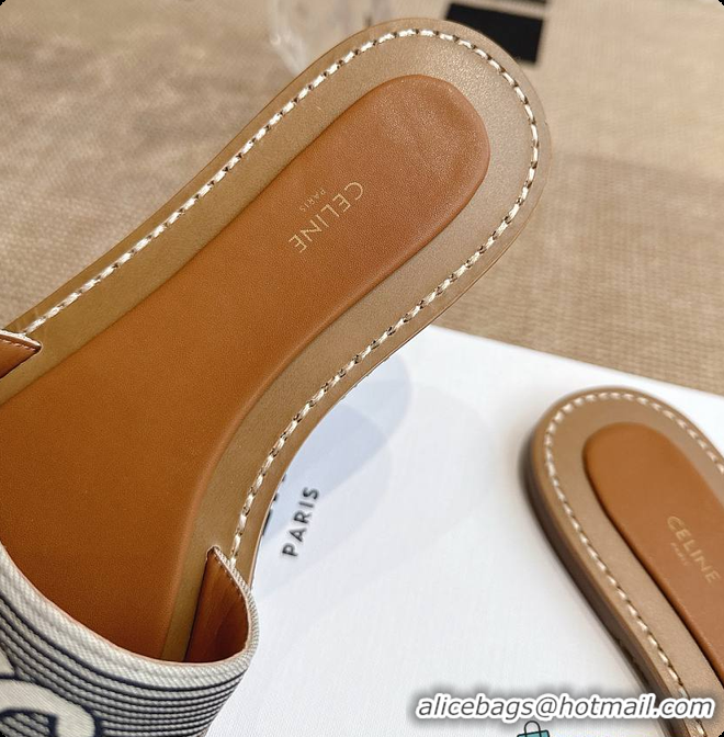 Sophisticated Celine Gray Triomphe Cloth Sandal 0702115