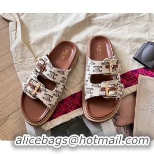 Most Popular Celine Triomphe Flat Sandals 0702119
