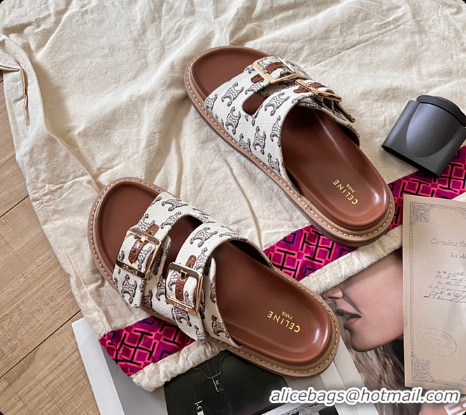 Most Popular Celine Triomphe Flat Sandals 0702119