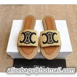 Best Price Celine Lympia Mule In Raffia 0702121