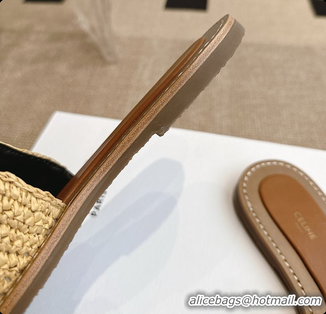 Best Price Celine Lympia Mule In Raffia 0702121