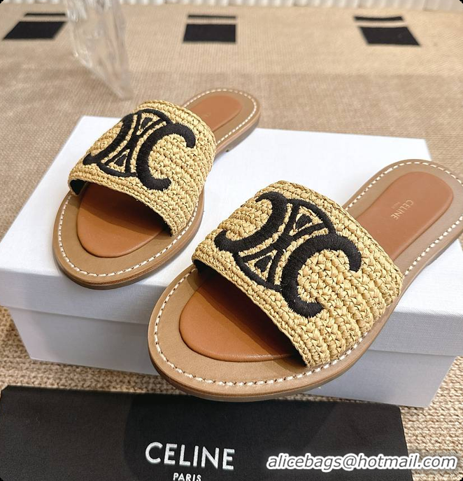 Best Price Celine Lympia Mule In Raffia 0702121