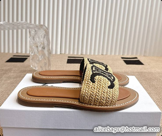 Best Price Celine Lympia Mule In Raffia 0702121