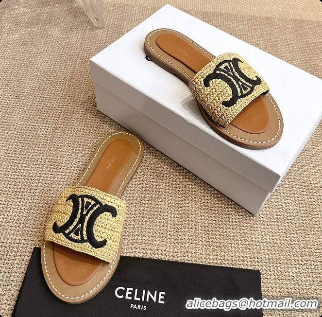 Best Price Celine Lympia Mule In Raffia 0702121