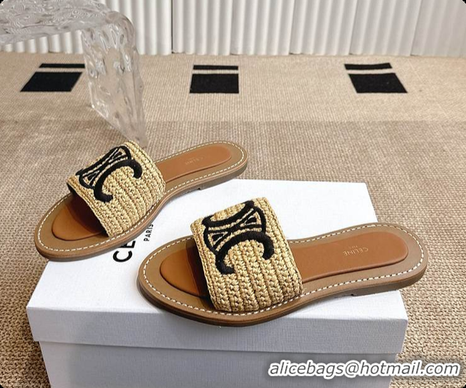 Best Price Celine Lympia Mule In Raffia 0702121
