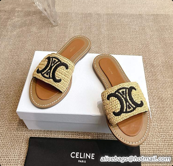 Best Price Celine Lympia Mule In Raffia 0702121