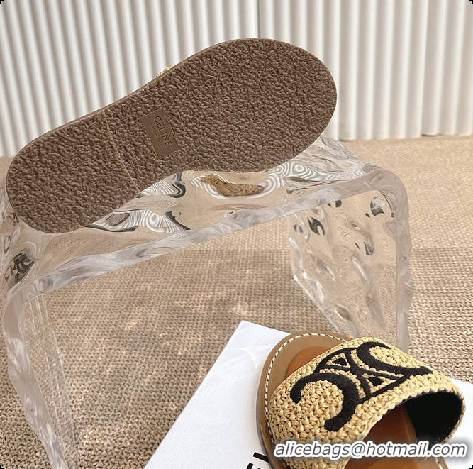 Best Price Celine Lympia Mule In Raffia 0702121