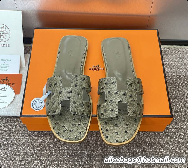 Popular Style Hermes Oran sandal Loden 60702401
