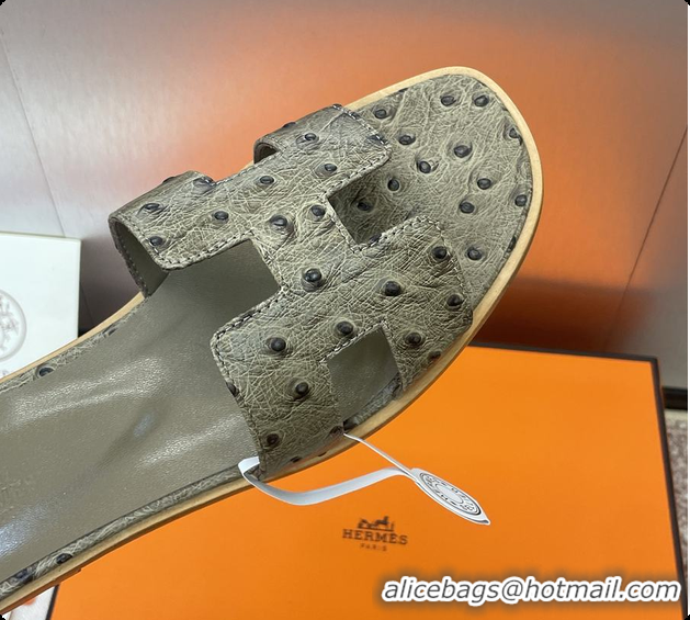Popular Style Hermes Oran sandal Loden 60702401