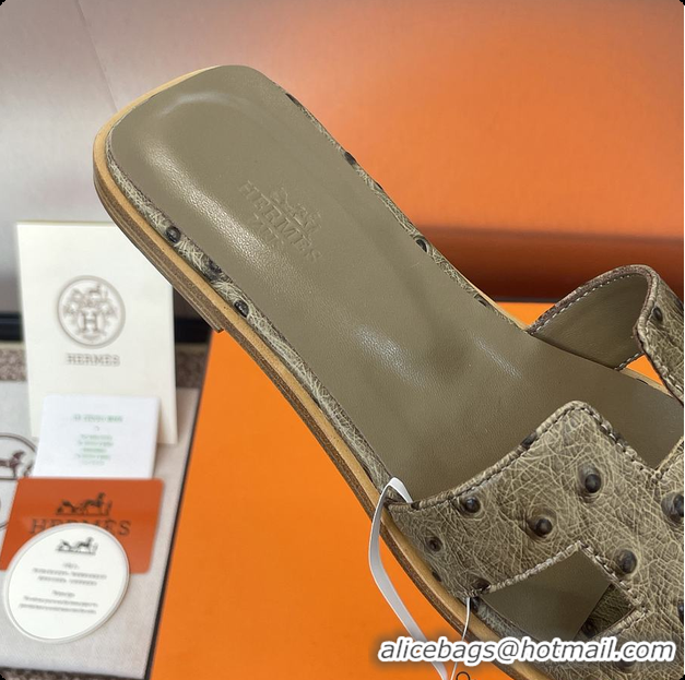Popular Style Hermes Oran sandal Loden 60702401