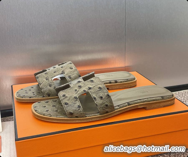 Popular Style Hermes Oran sandal Loden 60702401