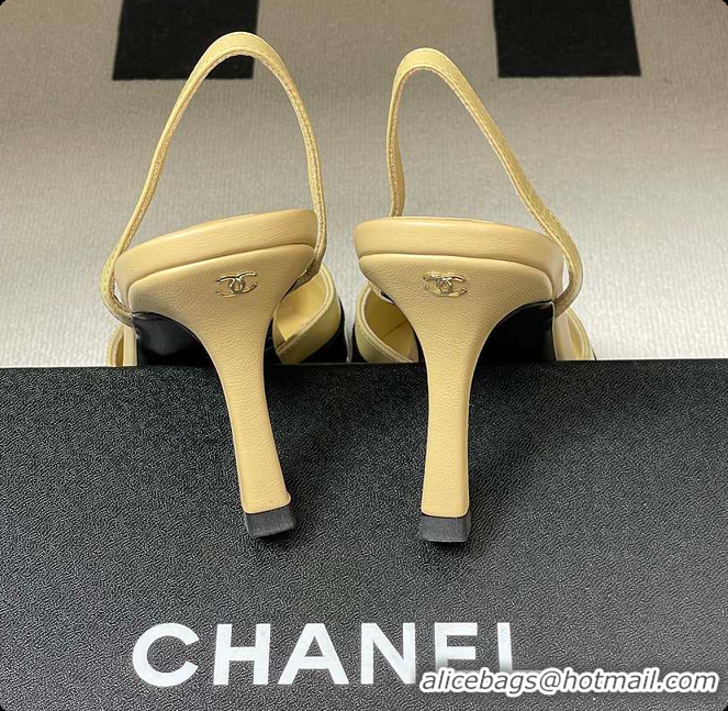 Buy Luxury Chanel Slingbacks Goatskin & Patent Calfskin Beige & Black 7.5cm 60702701