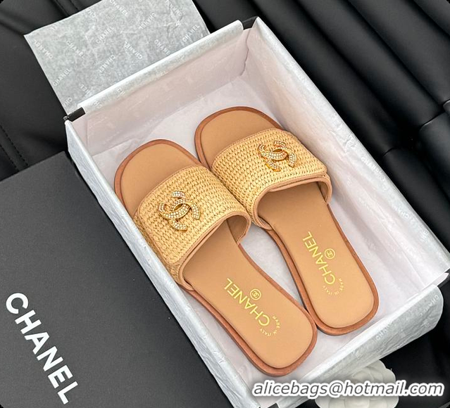Good Product Chanel White Palm Fiber Slippers Brown 60702803